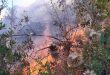 A blaze west of Mayamas village in Sweida extinguished