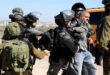 Israeli occupation troops arrest 10 Palestinians in the West Bank