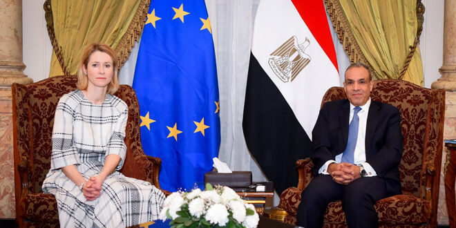 Egyptian Foreign Minister reaffirms his country’s support for Syria