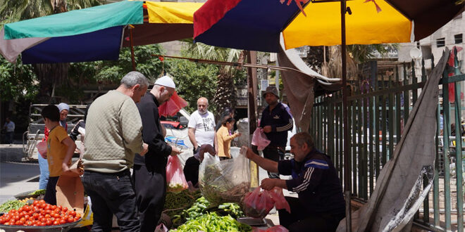 Jaramana… Syria’s Vibrant Mosaic: Flourishing Diversity and History of Resilience