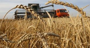 El acuerdo sobre cereales del mar Negro se prorroga dos meses