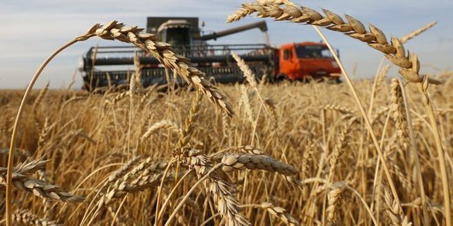 El acuerdo sobre cereales del mar Negro se prorroga dos meses