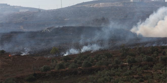 Colonos israelíes queman terrenos palestinos en Cisjordania