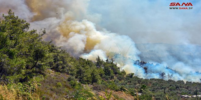 Reportan muerte de un efectivo de Defensa Civil durante los incendios en Latakia