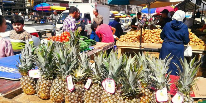 En fotos: Los mercados de Latakia recuperan vida